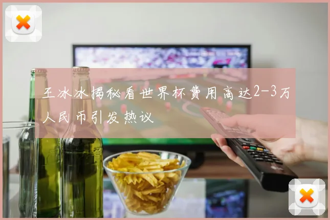 王冰冰揭秘看世界杯费用高达2-3万人民币引发热议